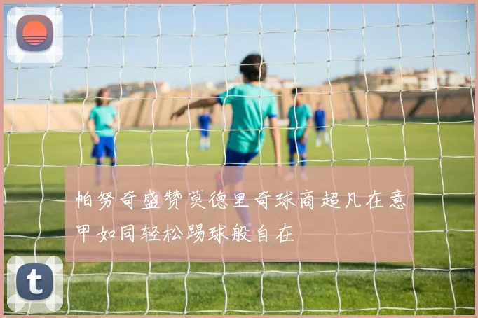 帕努奇盛赞莫德里奇球商超凡在意甲如同轻松踢球般自在