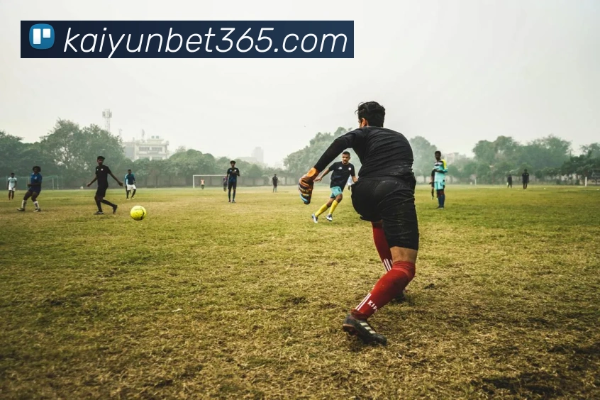 App Interface Preview