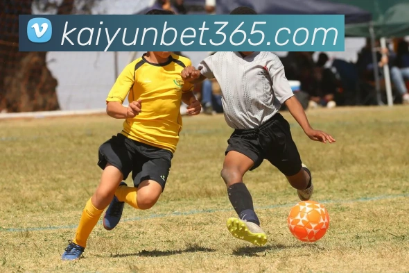 开云体育APP 封面图